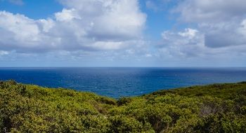 Ocean view from the green coast