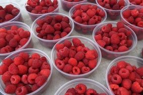 raspberries in bowls