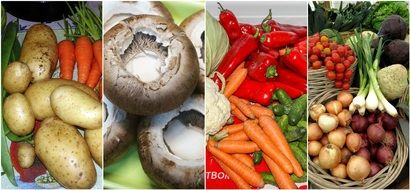 collage with fresh vegetables and mushrooms