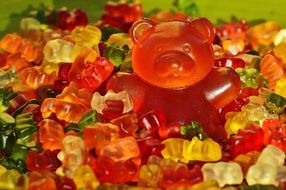 big gummy bear among candies
