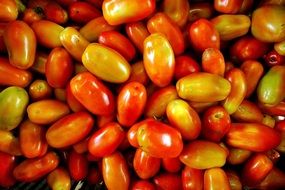 small tomatoes in a box close-up