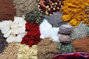 the spices are scattered