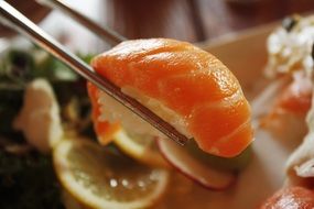 Salmon Sushi in japanese restaurant