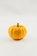 yellow isolated pumpkin vegetables autumn