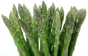 isolated fresh green asparagus