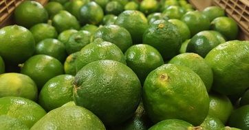 Green sour Limes in a market