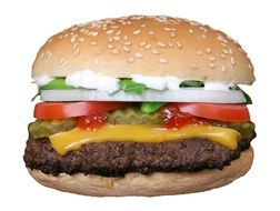 hamburger on the white background