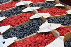 paper boxes with raspberries and blueberries