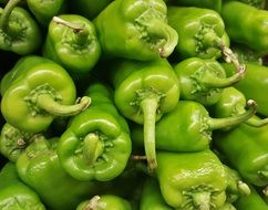 Green Anaheim Peppers