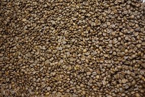 Roasted coffee beans in a pile