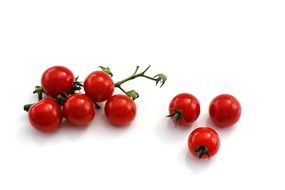 ripe cherry Tomatoes