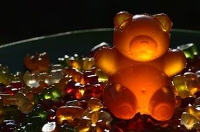 fruit jelly bear