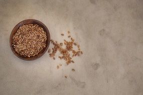 Flax Seed bowls