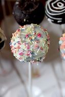 different biscuit cakes on a stick