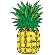 drawing of a pineapple