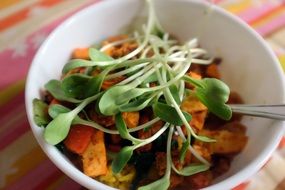 sunflower sprouts as decoration of a dish