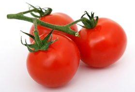 three red tomatoes on the branch