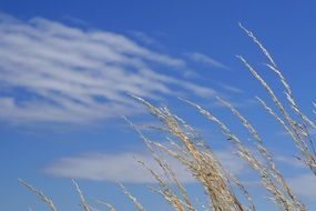 Photo of beautiful clouds