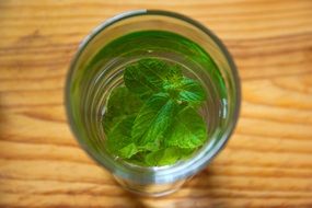 water with mint in a glass
