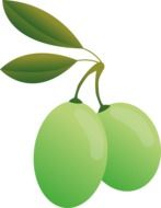 green olives on white background