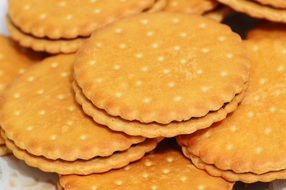 Cookies with Chocolate baked food