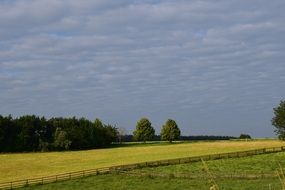 rural fields with fertile land
