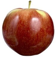 Healthy red apple as a clipart