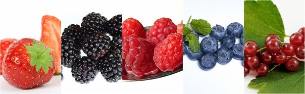 banner with berries