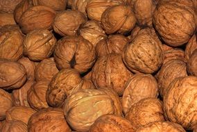 brown shell walnuts