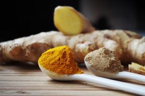 Ginger The Root
