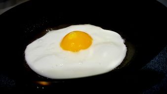 fried egg with a round yolk in a pan