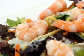 prawns with salad close-up