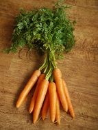 bunch of fresh farm carrots