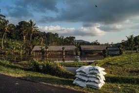 Farm in South East Asia