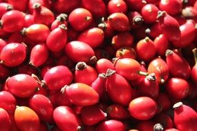 Red Hip Berry