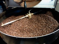 Coffee Beans Costa Rica machine