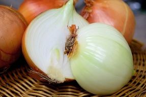 Onion bubble cut for Halves close up