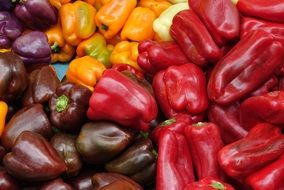 variety of sweet pepper close-up