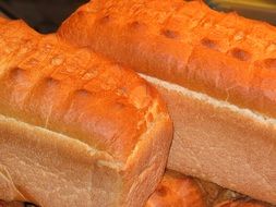 Wheat Bread Bread with golden Crust