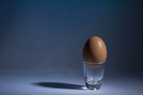 brown chicken Egg in glass