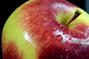 Apple with drops of water, macro, detail