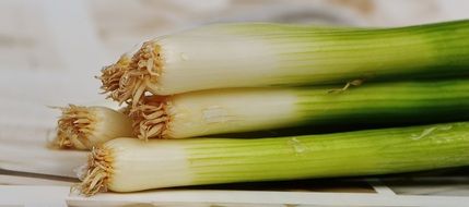 fresh spring onion