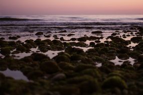 night coast with stones