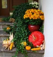 red pumpkin as a decor of autumn