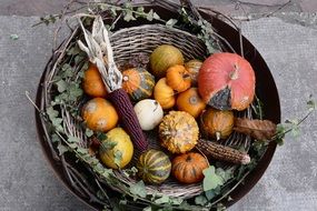 multi-colored vegetables in a wicker basket