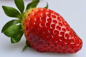 single Strawberry Fruit Close
