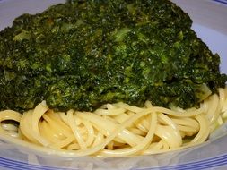 Spagetti Spinach in a plate close-up