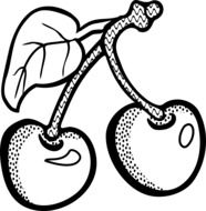 clipart,the picture of white cherry