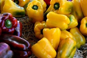 yellow and red Pepper
