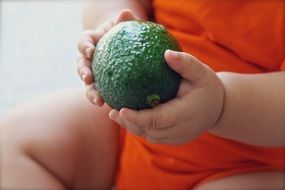 baby holding Avocado Fruit